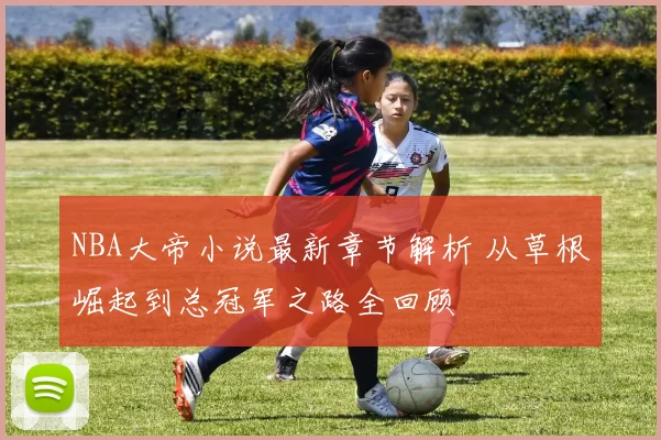 NBA大帝小说最新章节解析 从草根崛起到总冠军之路全回顾