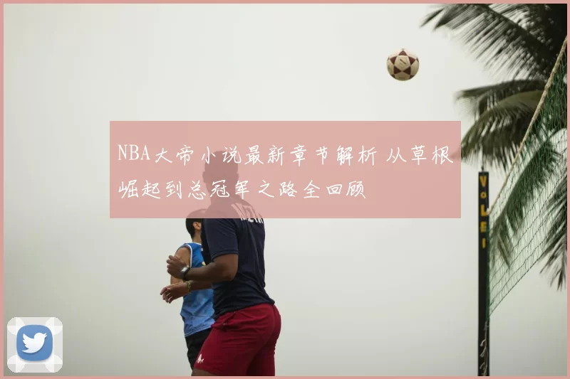 NBA大帝小说最新章节解析 从草根崛起到总冠军之路全回顾
