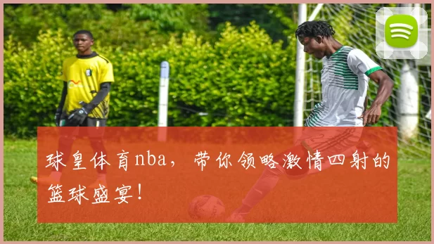 球皇体育nba，带你领略激情四射的篮球盛宴！