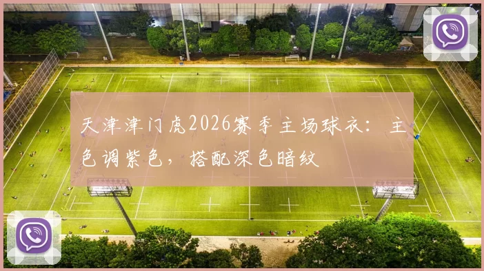 天津津门虎2026赛季主场球衣：主色调紫色，搭配深色暗纹